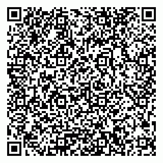 vCard 79033780263