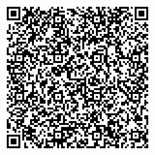 vCard 79033780264