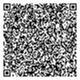 vCard 79033780265