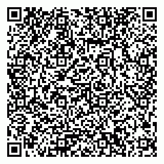 vCard 79033780267