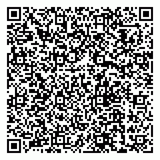 vCard 79033780271