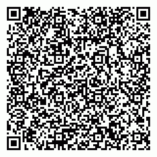 vCard 79033780272