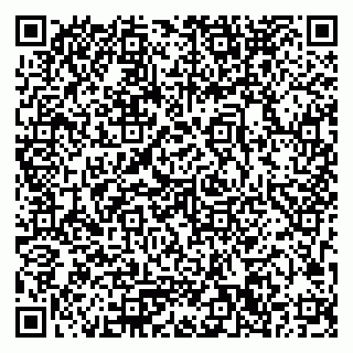 vCard 79033780273