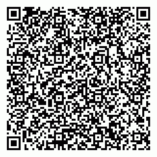 vCard 79033780274