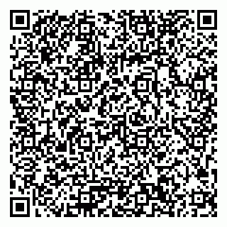 vCard 79033780276