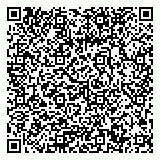 vCard 79033780278