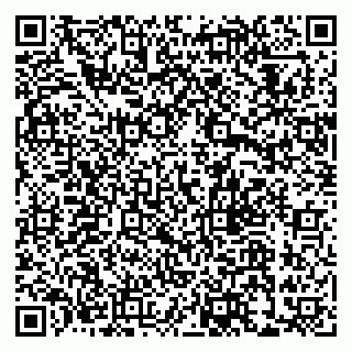 vCard 79033780279