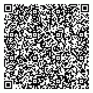 vCard 79033780281