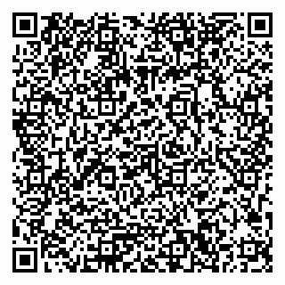 vCard 79033780283