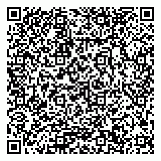 vCard 79033780284