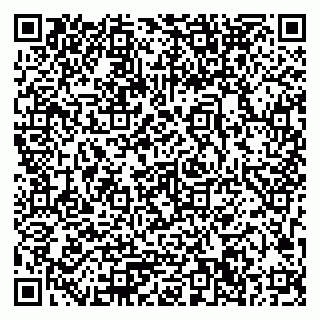 vCard 79033780285