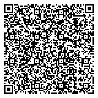 vCard 79033780287