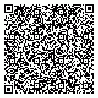 vCard 79033780289