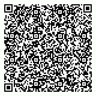 vCard 79033780290