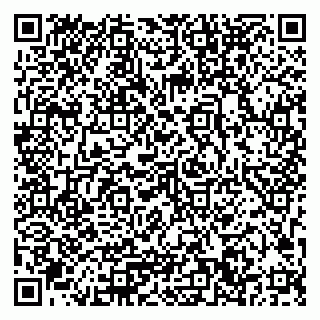 vCard 79033780291