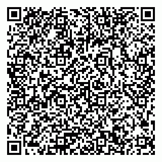 vCard 79033780294