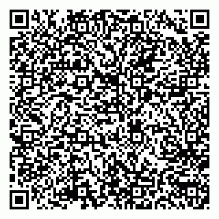 vCard 79033780295