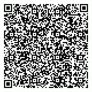 vCard 79033780296