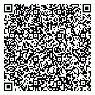 vCard 79033780297