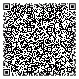 vCard 79033780301