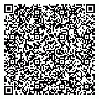 vCard 79033780304