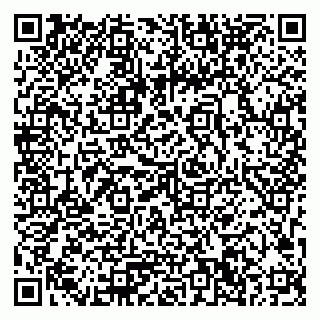 vCard 79033780305
