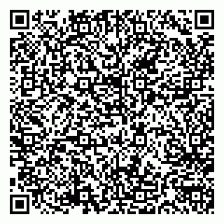 vCard 79033780306