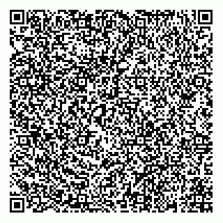 vCard 79033780308