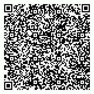 vCard 79033780309