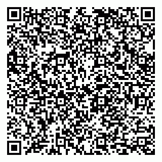 vCard 79033780310