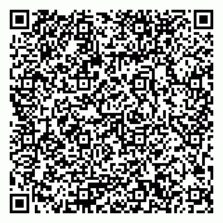 vCard 79033780312