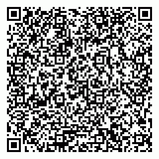 vCard 79033780313