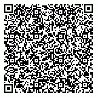 vCard 79033780314