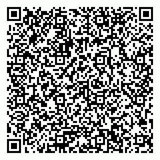 vCard 79033780315