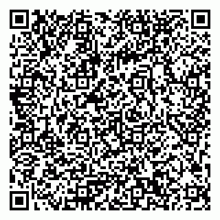 vCard 79033780316