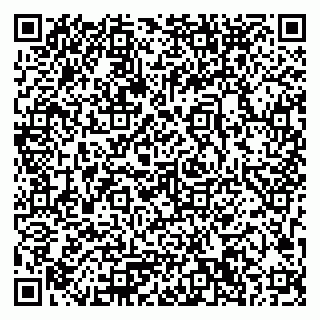vCard 79033780317