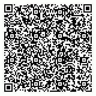 vCard 79033780318