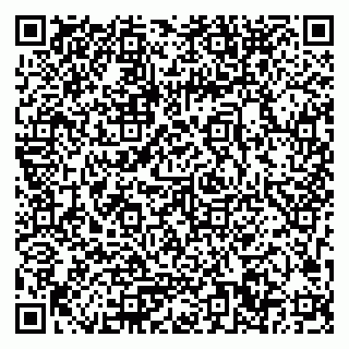 vCard 79033780319