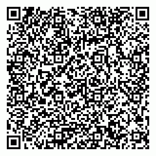 vCard 79033780320