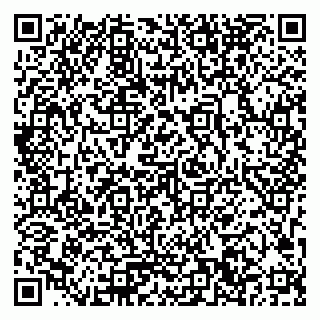 vCard 79033780321