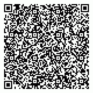 vCard 79033780323