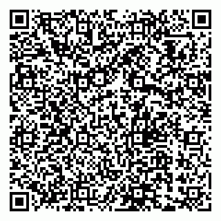 vCard 79033780324