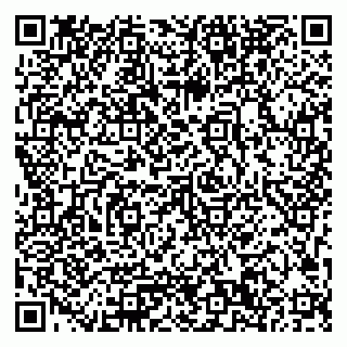 vCard 79033780326