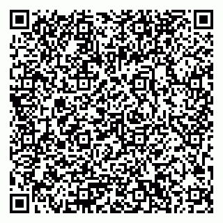 vCard 79033780327