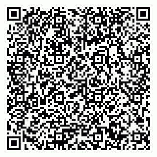vCard 79033780328