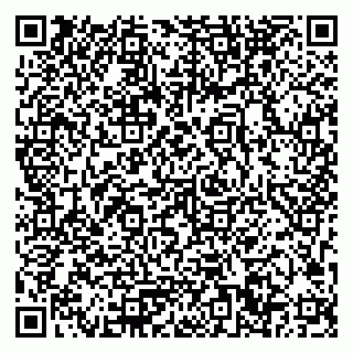 vCard 79033780329