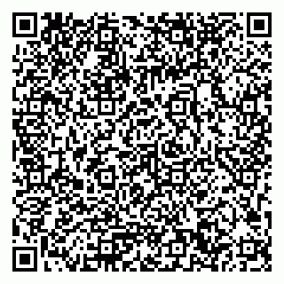 vCard 79033780330