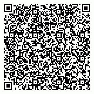 vCard 79033780331