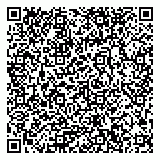 vCard 79033780333