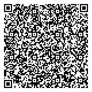 vCard 79033780338